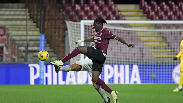 bologna salernitana i convocati di colantuono out in cinque