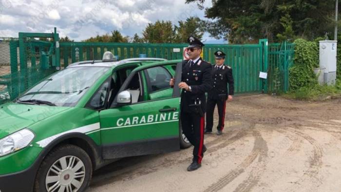 incendi in aree boscate e terreni incolti arrestato un pastore