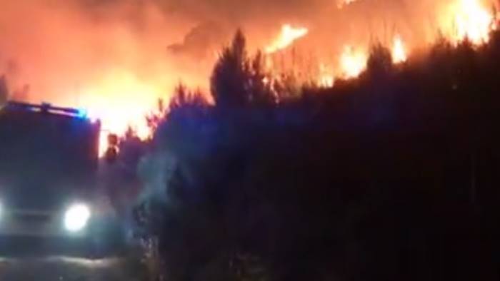 incendio a montecorice paura per alcune abitazioni