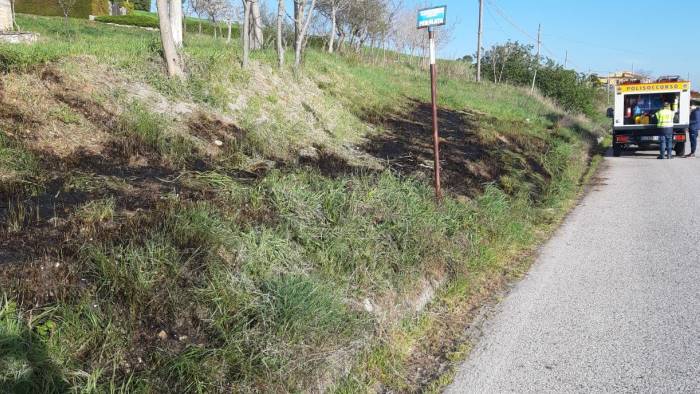 sterpaglie in fiamme lungo la strada provinciale 10