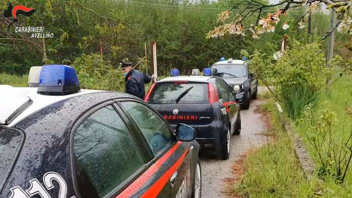 coltiva cannabis nella sua villa arrestato 28enne cinese