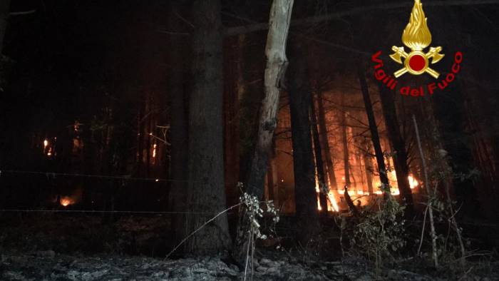 serino in fiamme il bosco del terminio danni ingenti