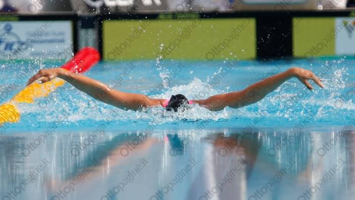 nuoto positiva la videoconferenza tra barelli e spadafora