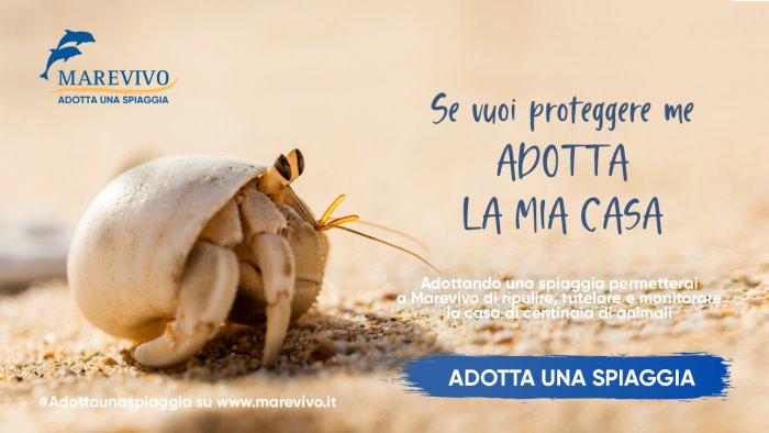 adotta una spiaggia al via la nuova campagna di marevivo