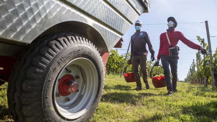 sfruttamento di manodopera clandestina denunciato imprenditore