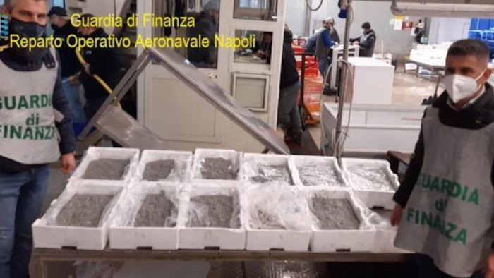 pesce mal conservato multe e sequestri anche a salerno