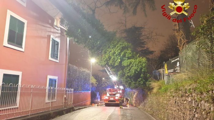 maltempo danni a pellezzano albero di 20 metri cade su un abitazione