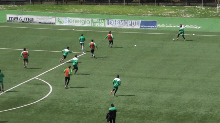 avellino vibonese ballottaggio in attacco per gautieri