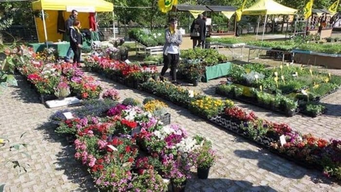 laboratori e degustazioni torna salerno in flora al parco pinocchio