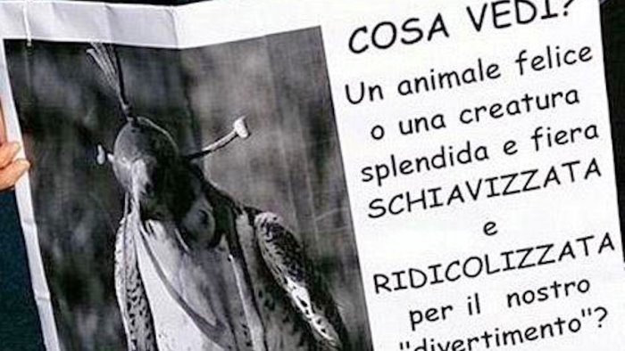 veg in campania contro il crocifisso liberato ancora utilizzo di animali