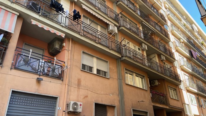 trovato morto in casa con un morso di cane al collo la verita dall autopsia