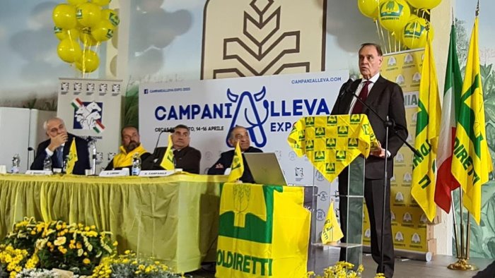 mastella ora un ente fiera per consolidare il successo di campania alleva