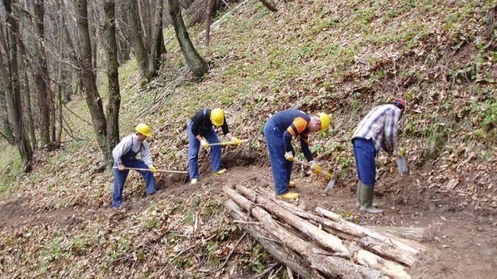 forestali siglato l accordo per il rinnovo dei contratti