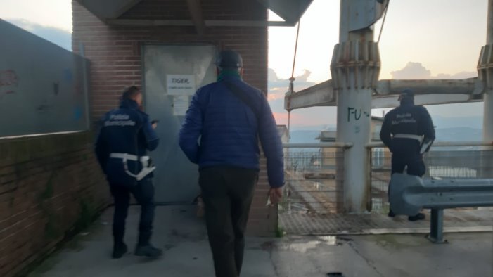 ariano cuccioli abbandonati in tre zone della citta e inaccettabile