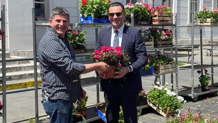 ad avellino e esplosa la primavera il mercatino dei fiori profuma la citta