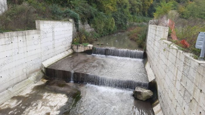 taglio alberi fosso santa lucia gli agronomi nessun abuso e un area privata