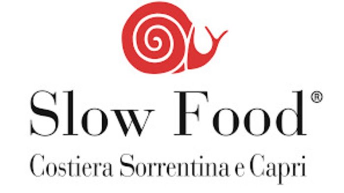 vico equense pier luigi d apuzzo nuovo presidente di slow food sorrento capri