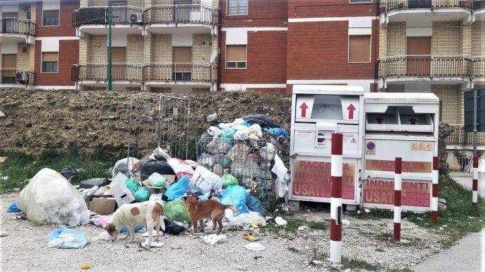 ariano incivilta incorreggibile ecco la cartolina di pasqua