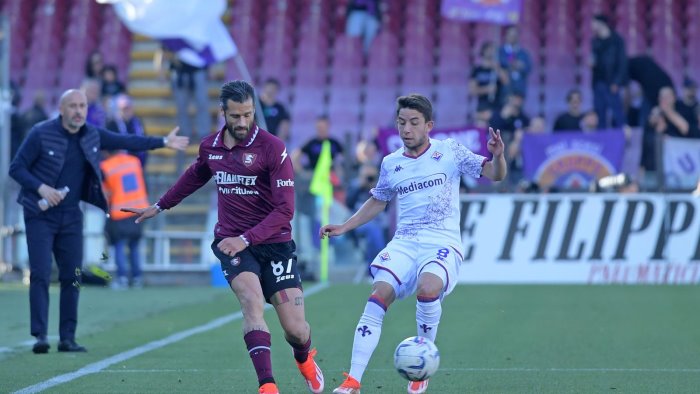 salernitana per candreva record amaro saltera frosinone