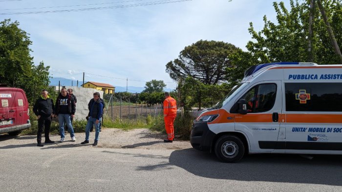 tragedia nel salernitano bimbo di un anno ucciso da una coppia di pitbull