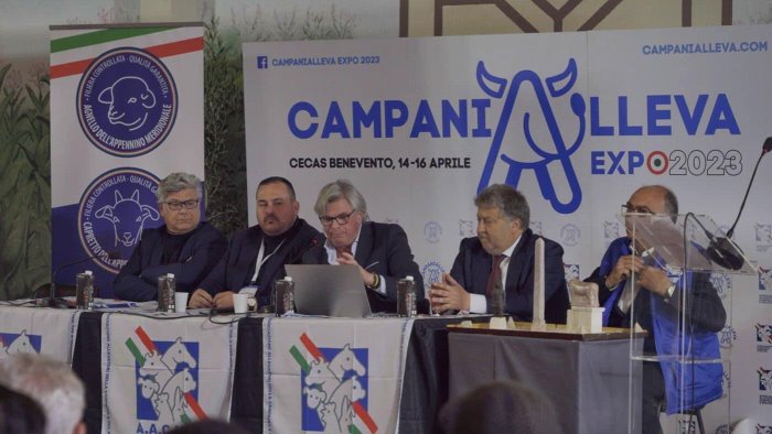 campanialleva expo 2024 venerdi la presentazione