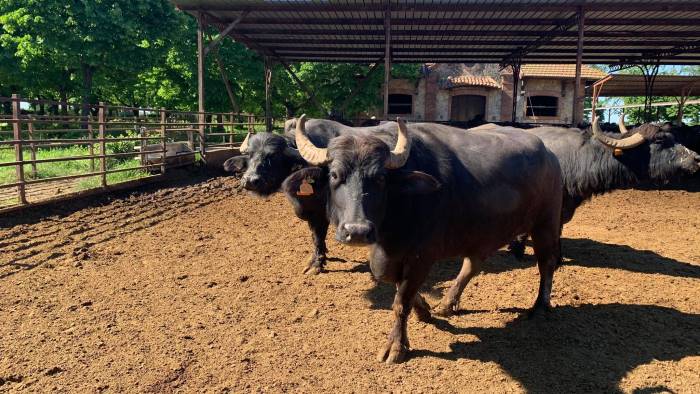 dai caciobond alla crisi agriturismi torna oggi campania 4 0