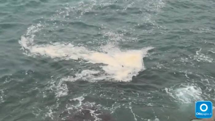 video incantesimo finito chiazze marroni nel mare di salerno