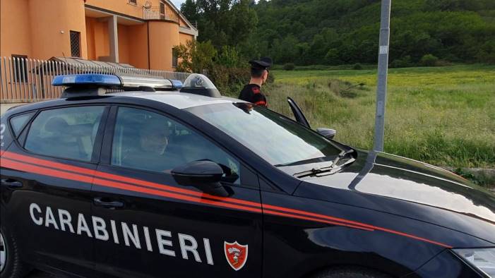 pantera avvistata nelle campagne di benevento foto