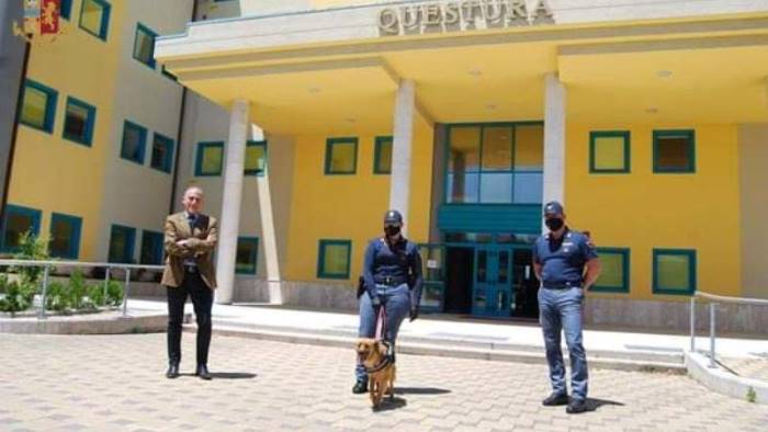 wally mascotte a quattro zampe della polizia