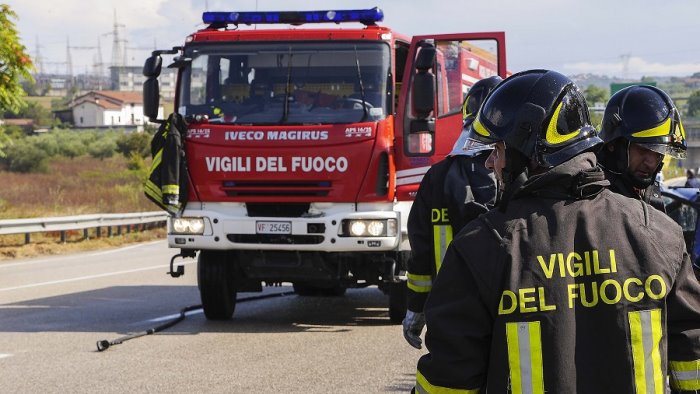 mucca finisce in vasca di liquami i pompieri la tirano fuori