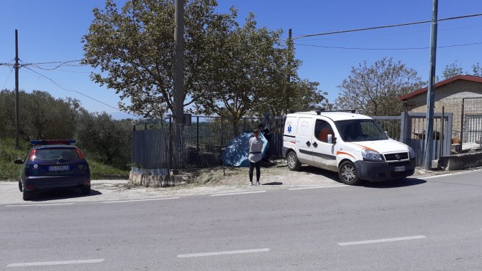 ancora un cane investito arriva l ambulanza veterinaria