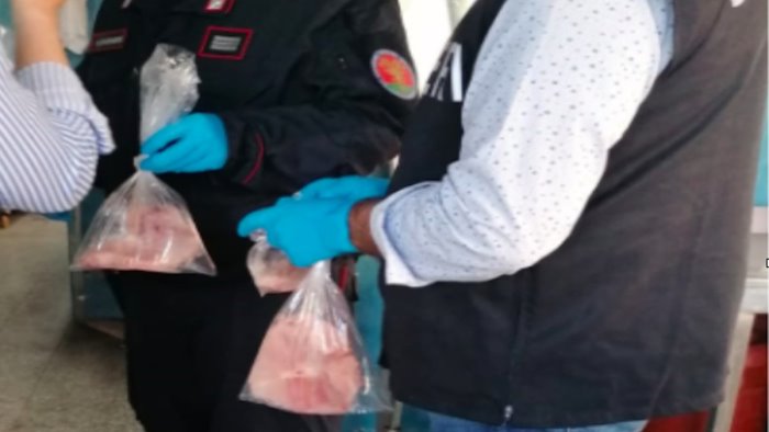 agropoli squalo venduto come palombo in una pescheria