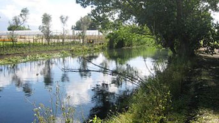 che fine ha fatto il grande progetto per il fiume sarno