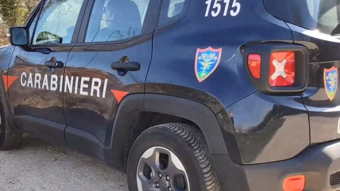 sequestrate due tonnellate di prodotti ittici in campania