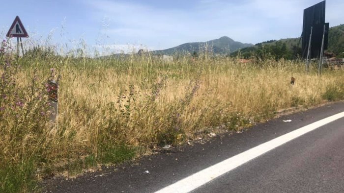 cara anas curiamo le aiuole alle uscite dell autostrada