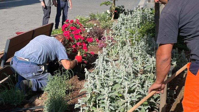 avellino fiori e verde al corso festa abbiatene cura la citta e piu bella