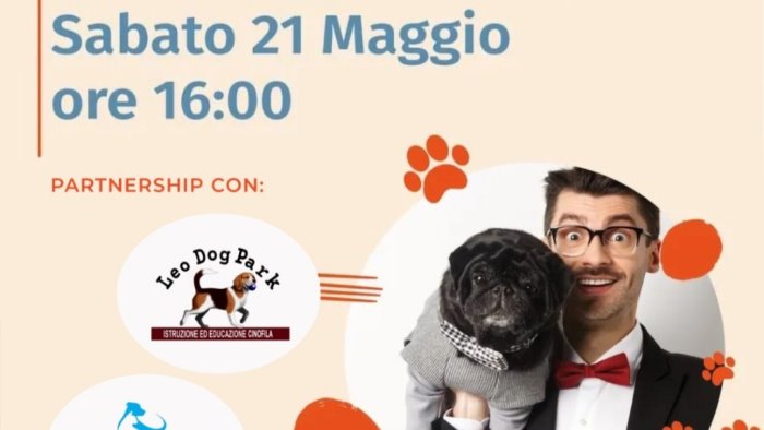 casamarciano prima edizione del dog parade in passerella gli amici a 4 zampe