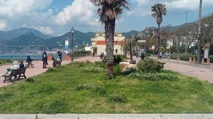 manutenzione del verde a salerno primi interventi su lungomare e zona orientale