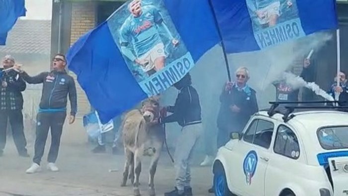 festeggiamenti scudetto del napoli anche ariano si tingera di azzurro