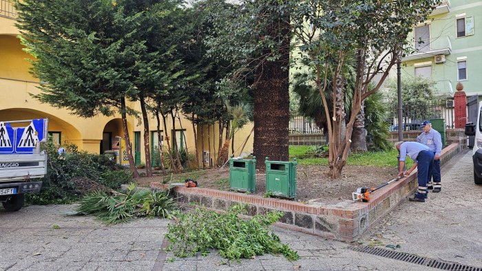 salerno proseguono gli interventi di cura del verde in citta