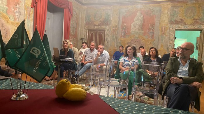 limone sfusato di amalfi ecco i marcatori che lo rendono unico