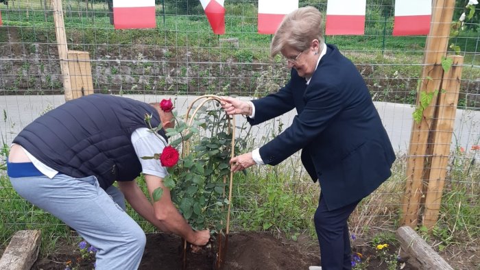 baronissi orti parrocchiali per creare un ponte con il passato