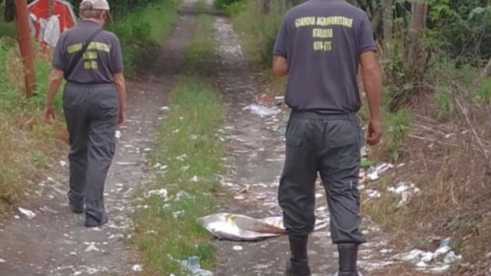 abbandono di rifiuti sui monti di lauro scatta la segnalazione