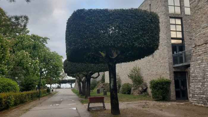 un bando pubblico per il bar della villa comunale ad ariano e la prima volta