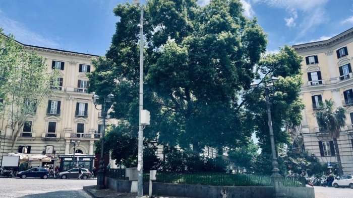 napoli rissa in piazza vanvitelli al vomero problemi per la videosorveglianza