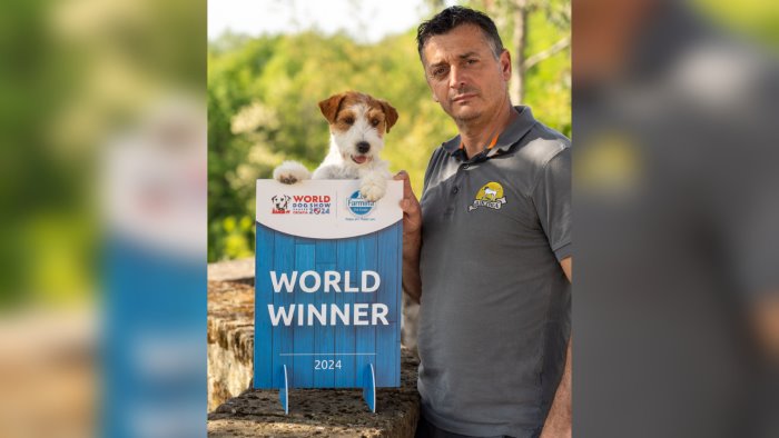 world dog show aikiwa kayla stravince a zagabria e diventa campione del mondo