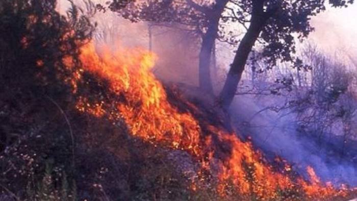 regione approvato piano contrasto agli incendi boschivi