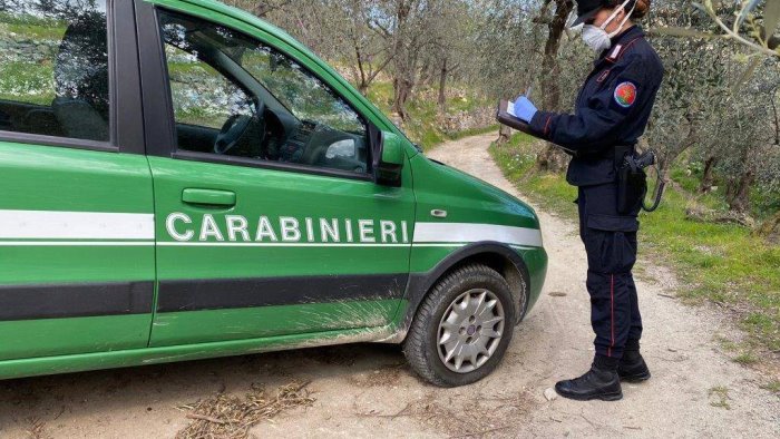 ariano depuratore comunale blitz dei forestali