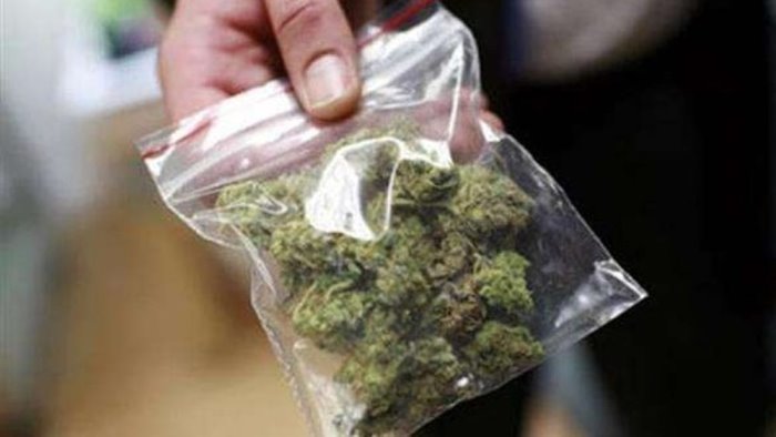 nascondeva oltre un chilo di marijuana arrestato