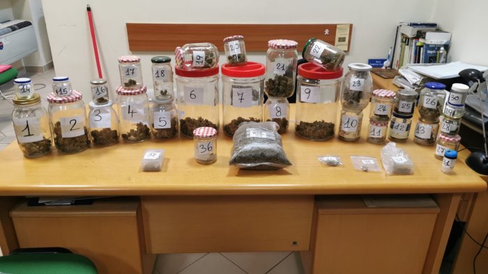 coltivava e produceva marijuana in casa arrestato 28enne